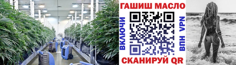 ТГК гашишное масло  Купить закладки  Грязовец 