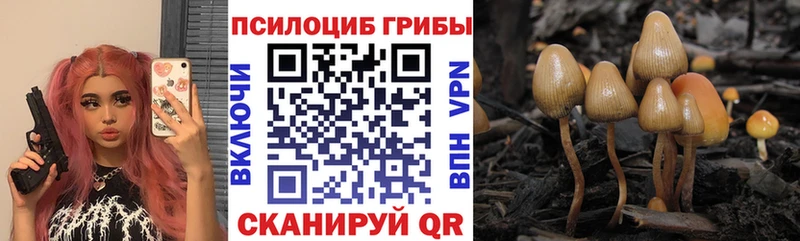 Галлюциногенные грибы Psilocybe  Купить  Грязовец 
